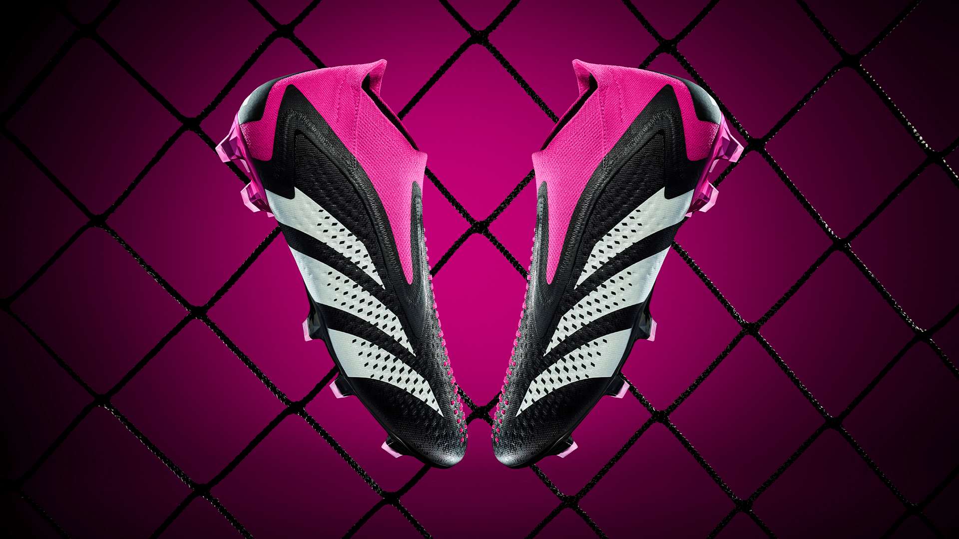 与实力无可 与实力无可