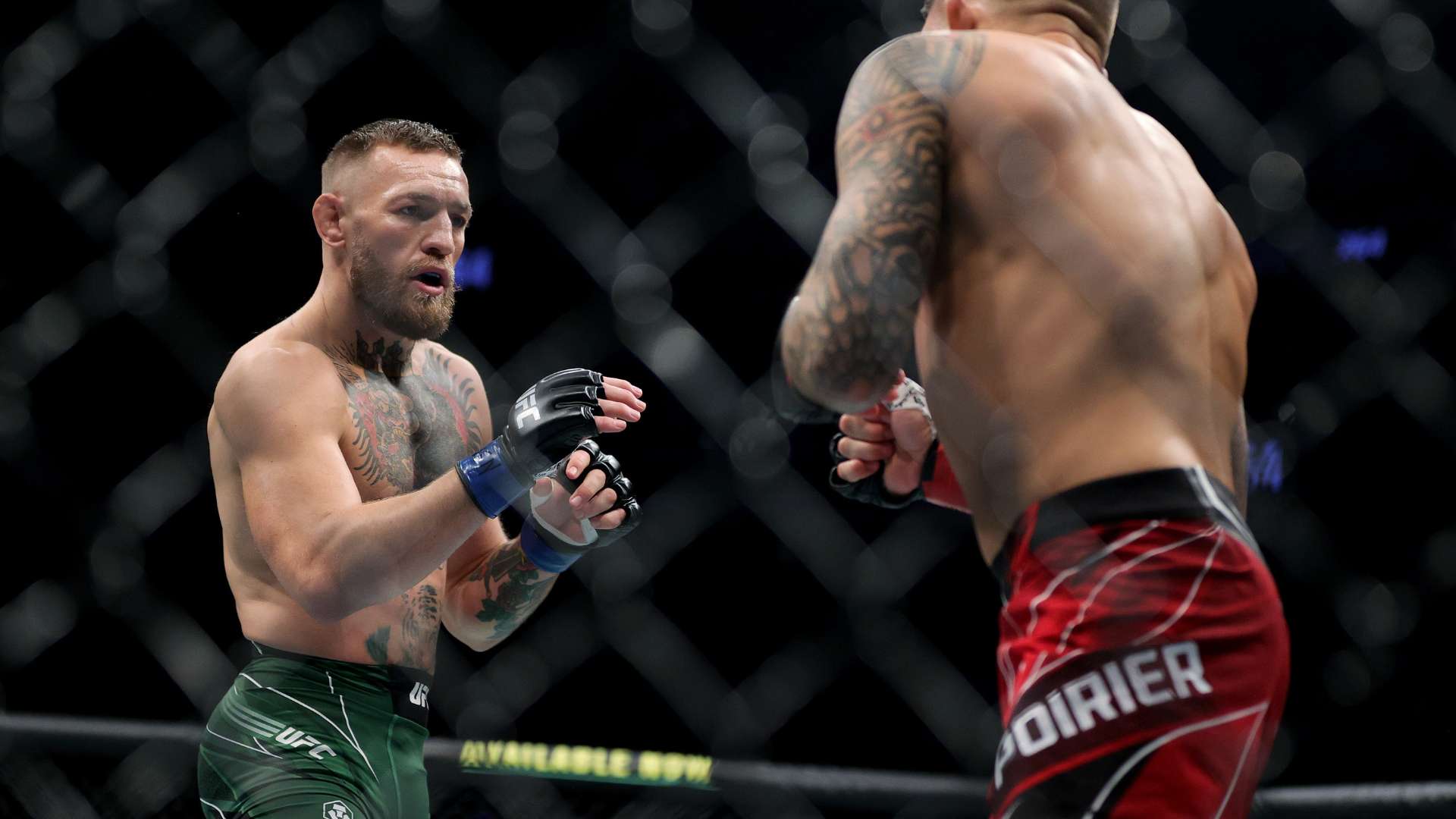 从布兰斯韦 从布兰斯韦